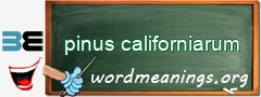WordMeaning blackboard for pinus californiarum
